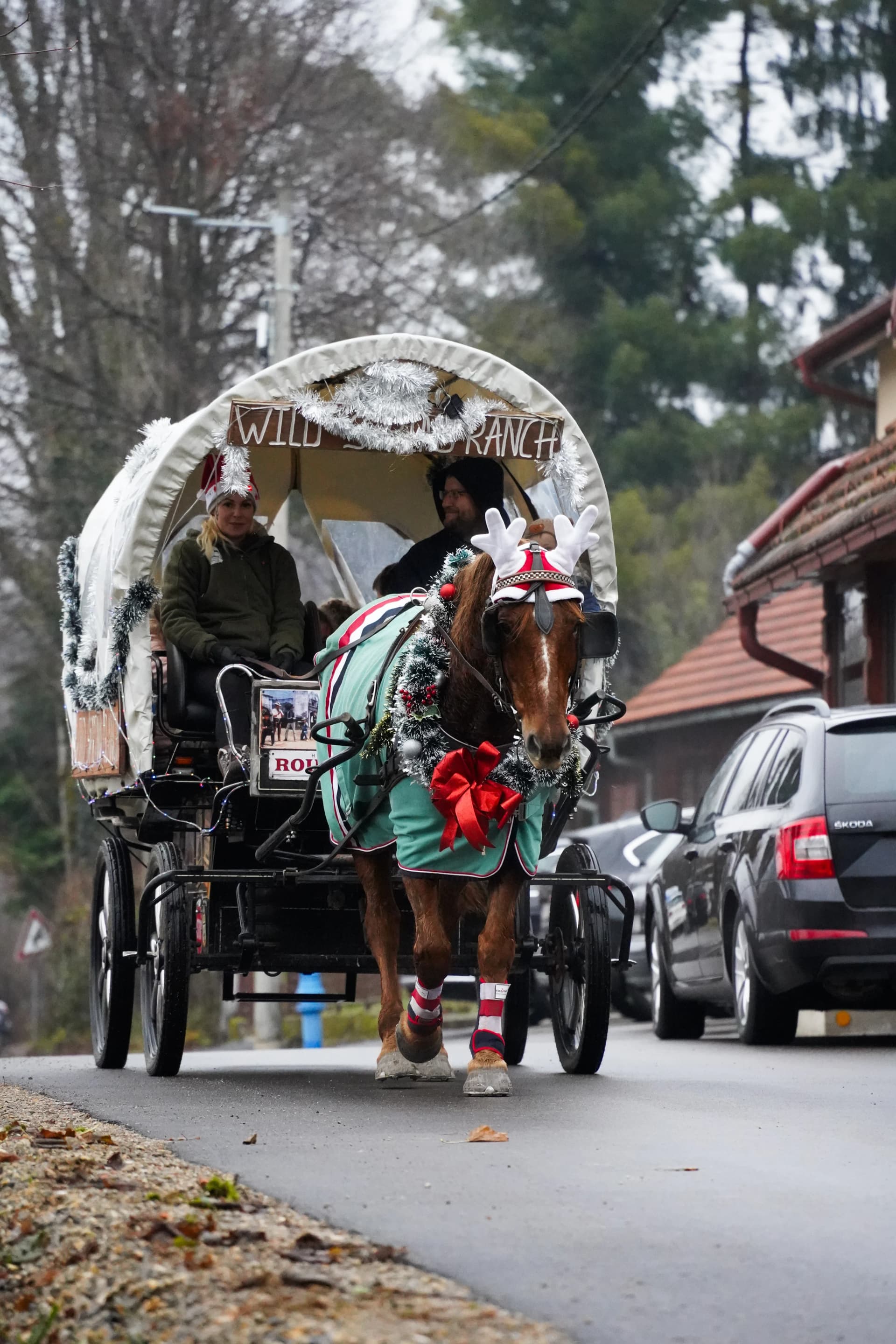Najbolje Rute za Jahanje oko Plitvica