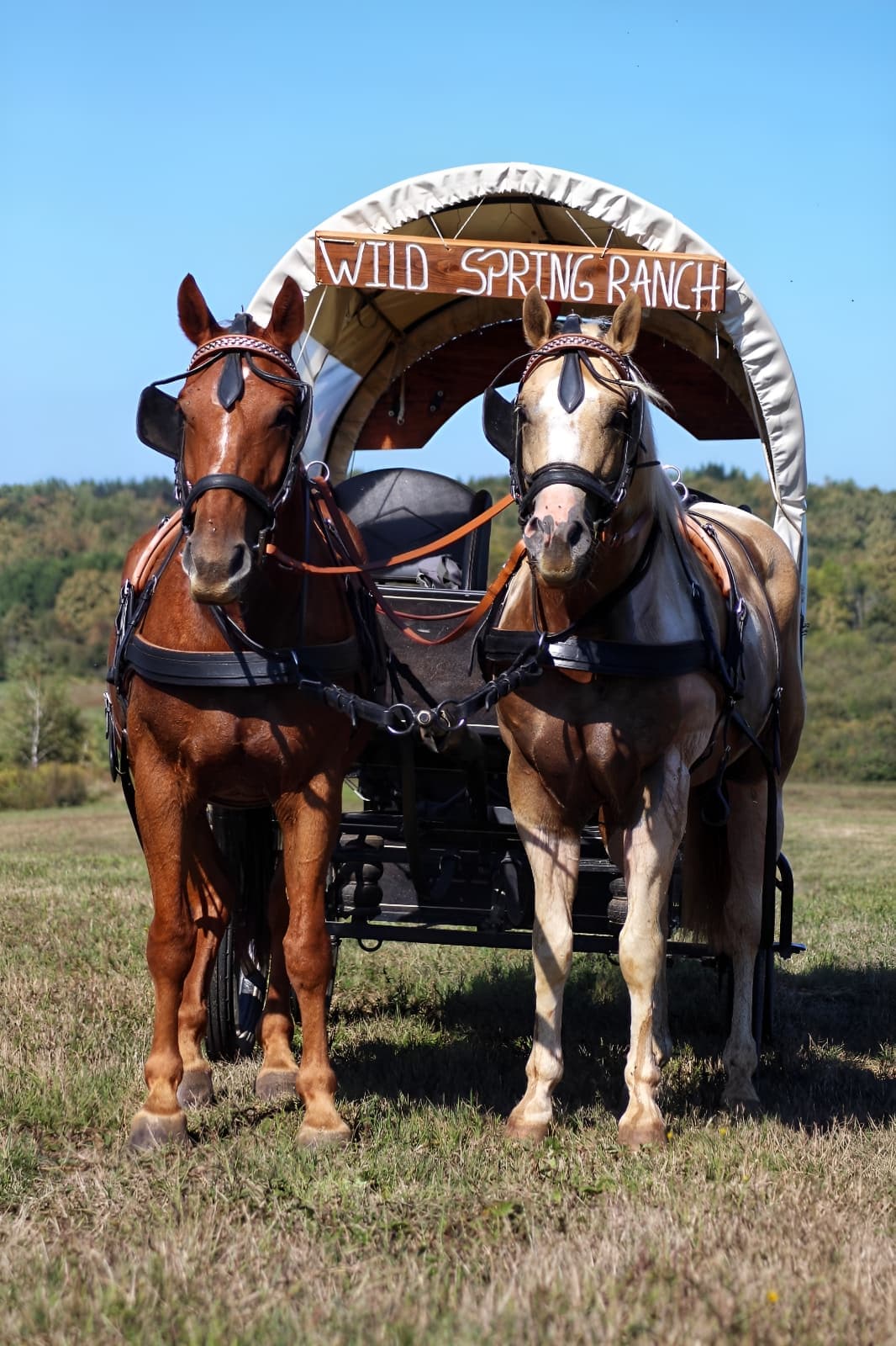 Kočijom do Baraćevih Špilja